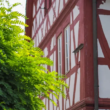 Weinstrasse No 8 