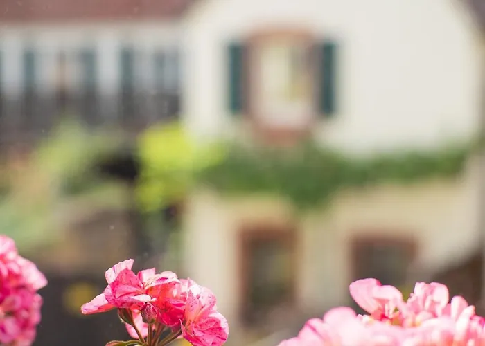 מלון דירות Weinstrasse No 8 