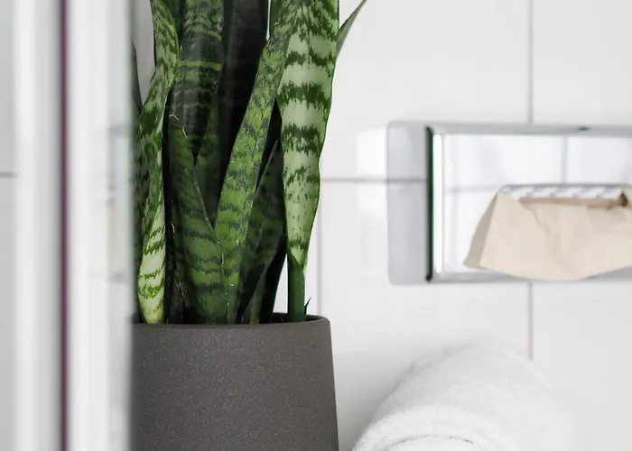 מלון דירות Weinstrasse No 8 